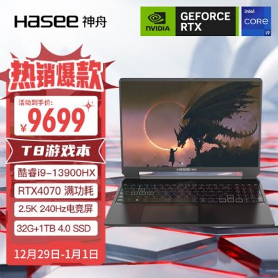 神舟（HASEE）战神T8 13代英特尔酷睿i9 16英寸游戏本笔记本电脑(13代i9 